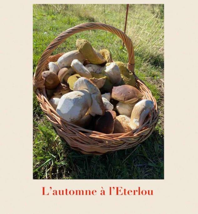 L'Eterlou Authentique Partie De Corps De Ferme 10Pers. Villa Targassonne Exteriör bild
